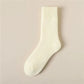 CozySocks Thermostrumpor 3-Pack